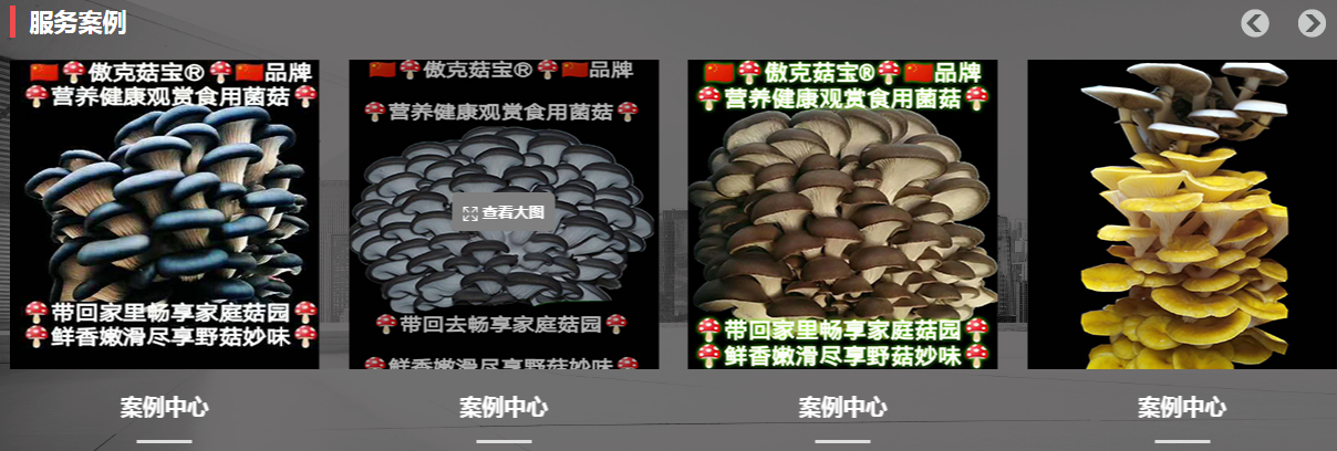 QQ截图20200810183620.png
