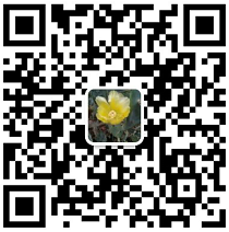 QQ截图20200903105450.png