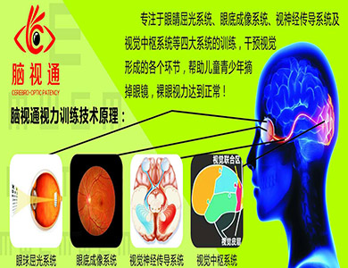 脑视通视力训练技术原理.jpg
