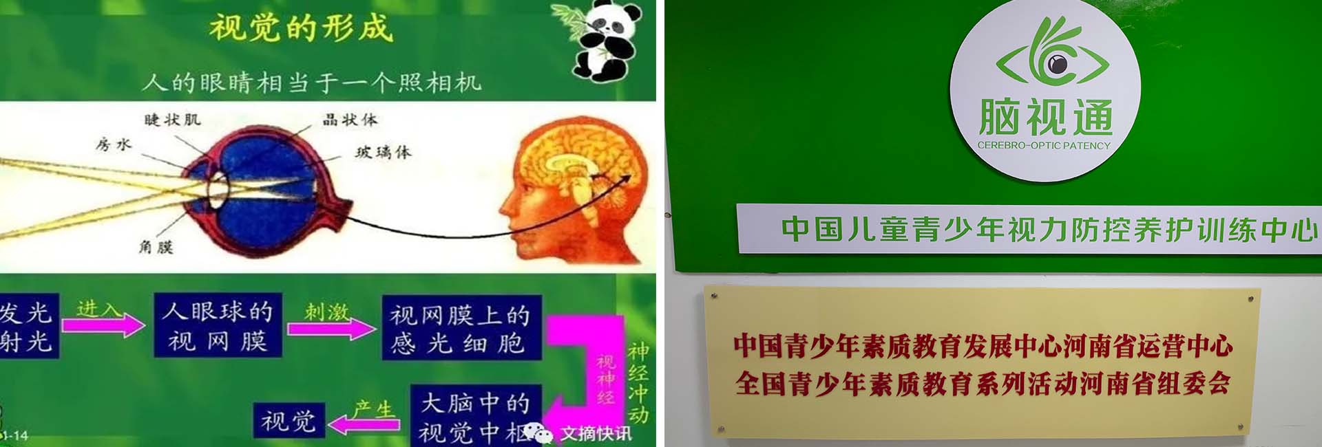 大图二.jpg