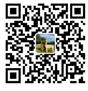 6a7819c7936b4f8af5c446ea9def6ce.png
