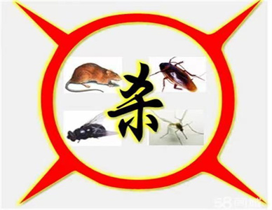 a4b2a6c490fa1e2220a99c36f65654c.jpg