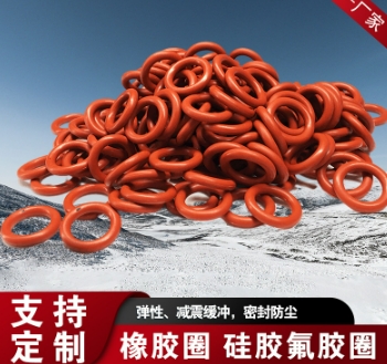 氟胶密封圈.png