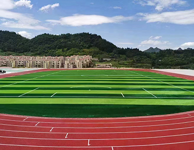 人造草坪2.jpg