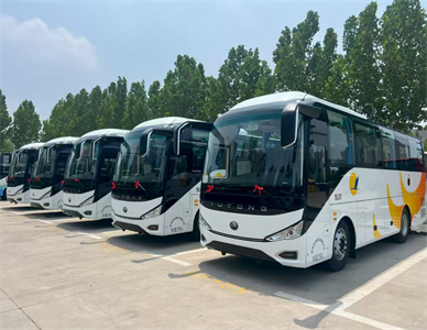 QQ20250909-121529.jpg