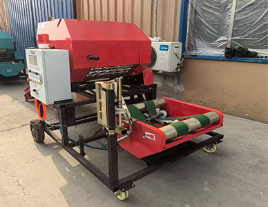 1763436965469605.jpg 2.jpg