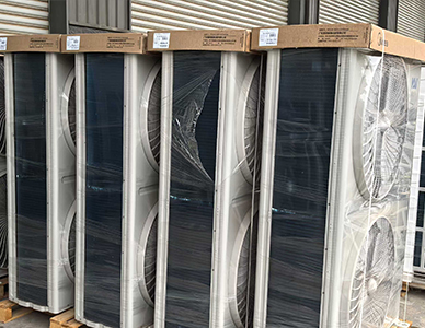 1763451098264279.jpg 12.jpg