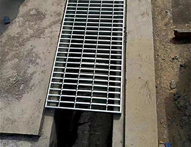 1763691477710650.jpg 15.jpg