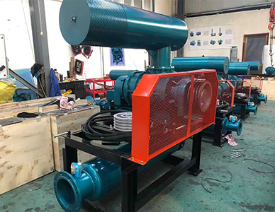 1764816307285399.jpg 14.jpg