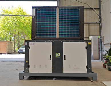 1764816878277743.jpg 8.jpg