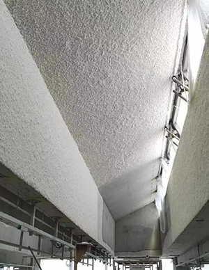 1764819182290809.jpg 18.jpg