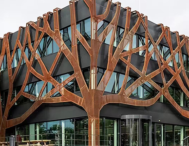 1765251215547827.jpg 案例2.jpg