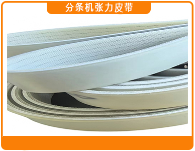 1767493970649241.jpg 分条机张力皮带.jpg