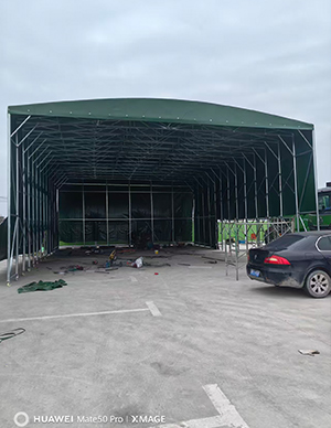 1769501066535847.jpg 4.jpg