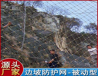 1773640546722908.jpg 6.jpg