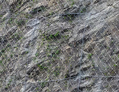 1773641286489162.jpg 19.jpg