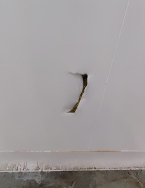 1773642656578784.jpg 洞眼钉眼修 (1).jpg