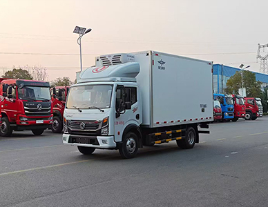 1773643338763002.jpg 5.jpg