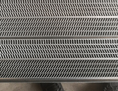 1773646389715263.jpg 有筋扩张网12.jpg