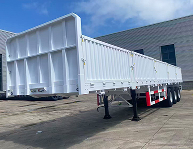 1773646747918895.jpg 5.jpg