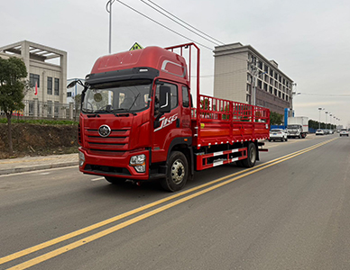 1773648021693855.jpg 6.jpg