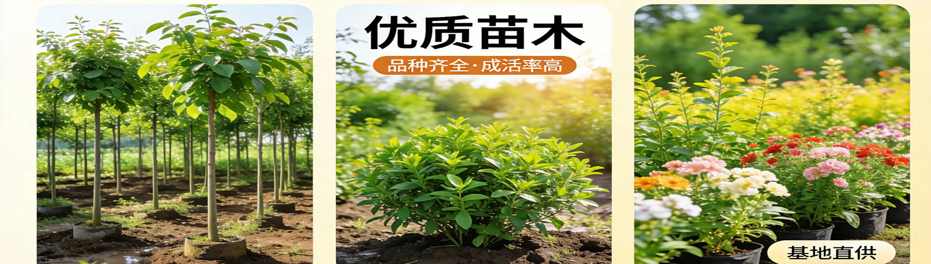 未标题-1.jpg