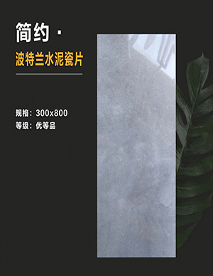 瓷片300x800mm2.jpg