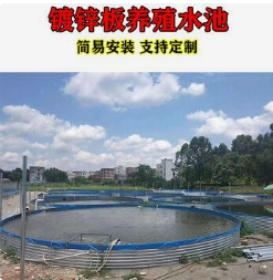 1779864929921311.jpg 3.jpg