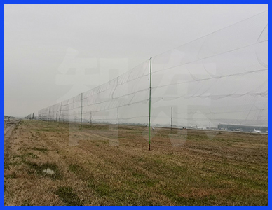 拦鸟杆7.jpg