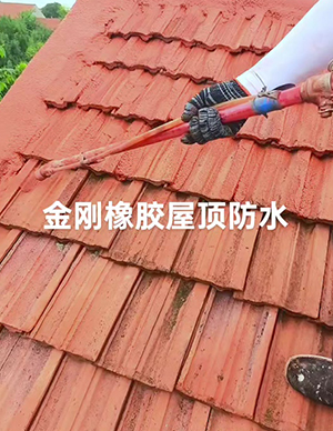 金刚橡胶屋顶14.jpg